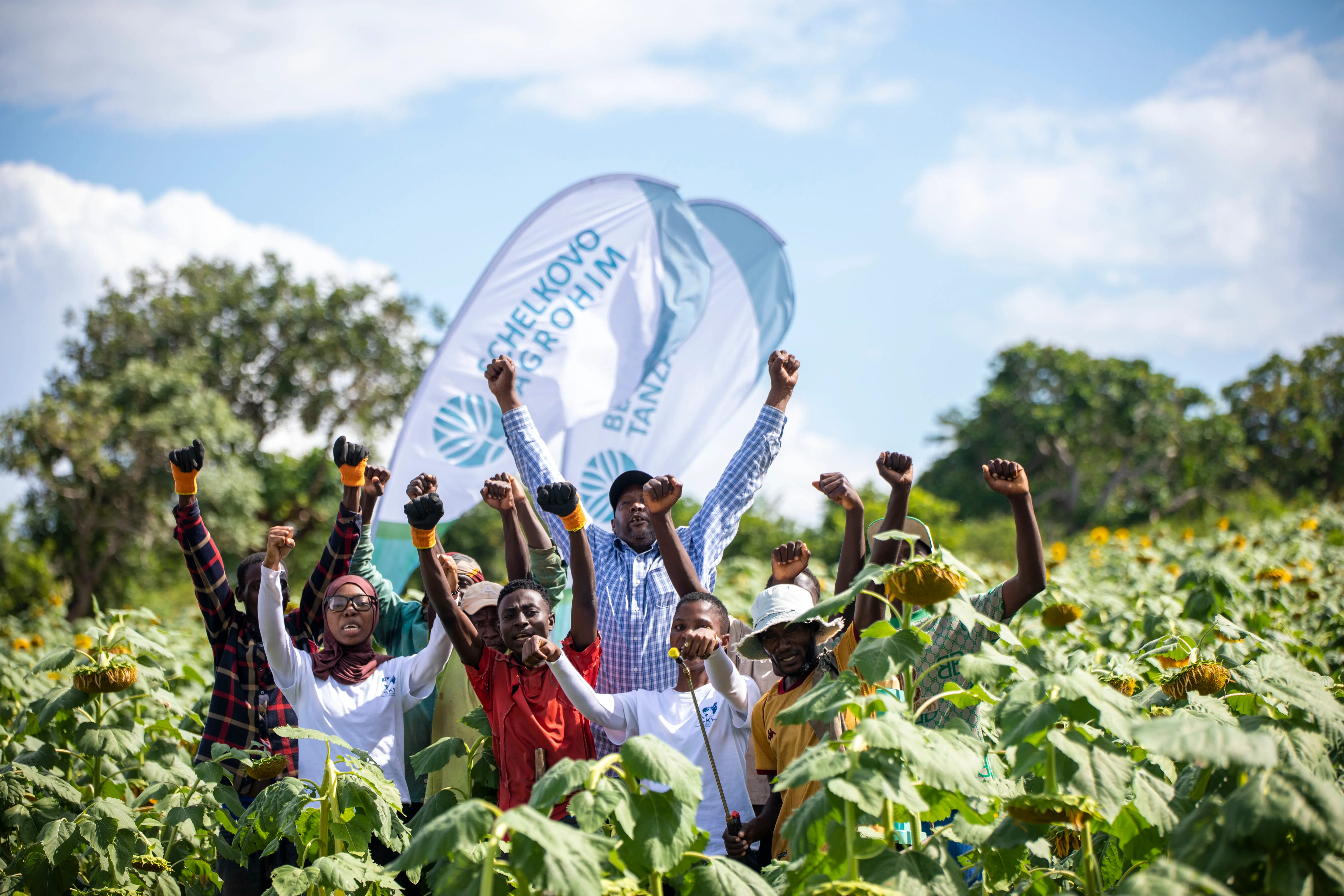 Farmers celebrating in a sunflower demonstration field